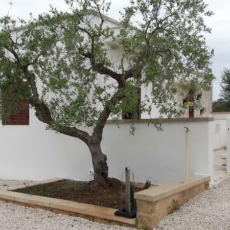 Holiday home Stella Del Canale